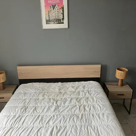 Apartmán Grand Centre Chateau St Pierre Saumur