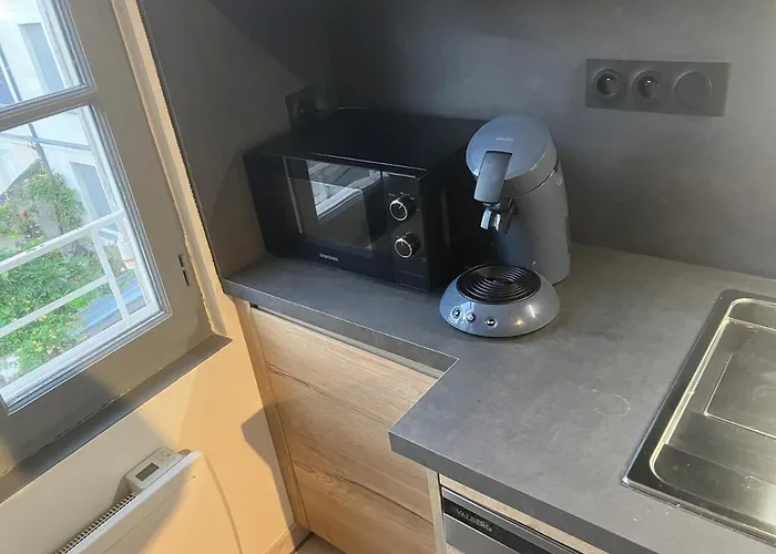 Grand Centre Chateau St Pierre * 쏘뮤흐