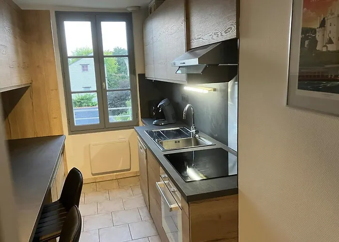 Grand Centre Chateau St Pierre 아파트 *